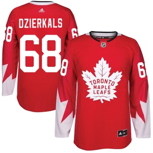 Men's Martins Dzierkals Toronto Maple Leafs Authentic Alternate Jersey - Red