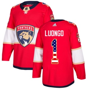 Men's Roberto Luongo Florida Panthers Authentic USA Flag Fashion Jersey - Red