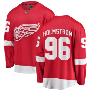 Men's Tomas Holmstrom Detroit Red Wings Breakaway Home Jersey - Red